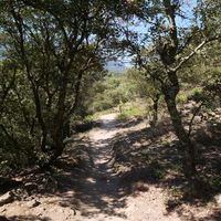 Photo de france - La randonnée du moulin de Ribaute